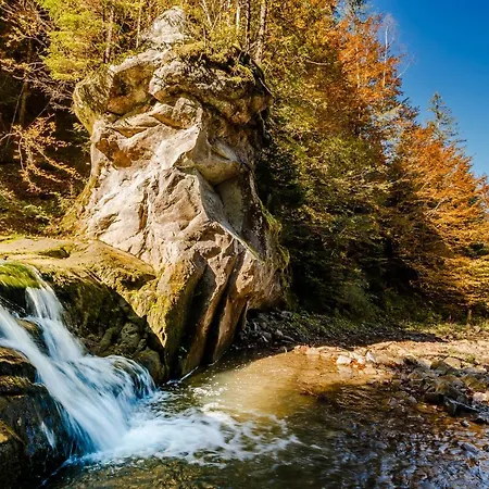 хата різьбяра - закуток Guest house 4*