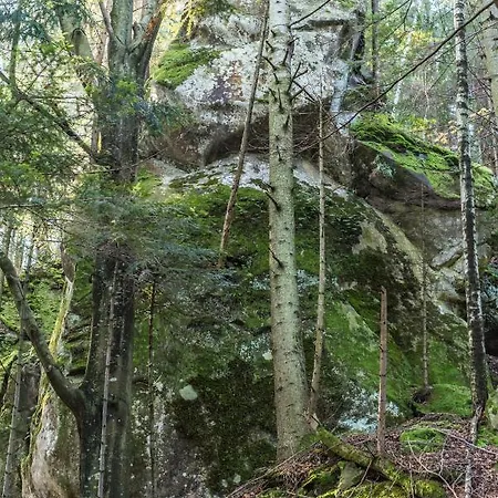 хата різьбяра - закуток Guest house Beloberezka