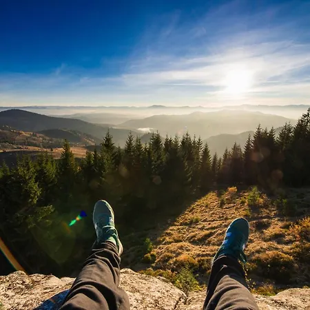 хата різьбяра - закуток Guest house 4*