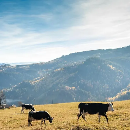 хата різьбяра - закуток ゲストハウス Byalobereska