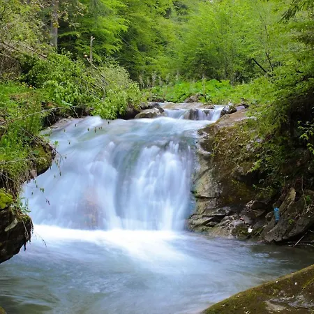 хата різьбяра - закуток Guest house 4*