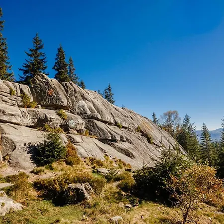 хата різьбяра - закуток Beloberezka