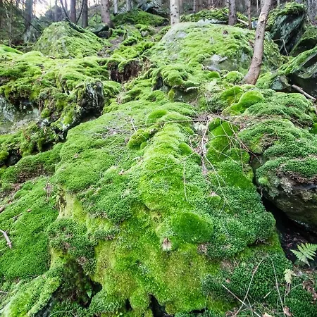 ゲストハウス хата різьбяра - закуток 4*