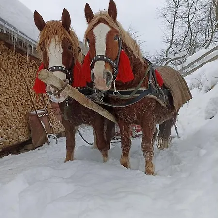 хата різьбяра - закуток Guest house