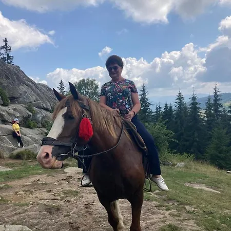 хата різьбяра - закуток 4* Beloberezka